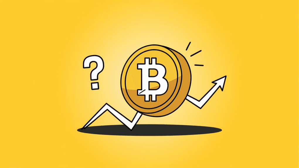 Your call Is Bitcoin worth investing in