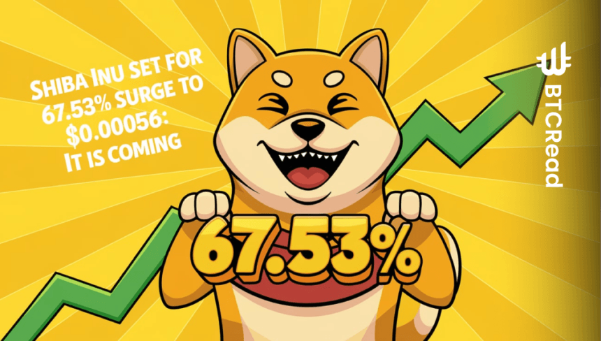 Shiba Inu