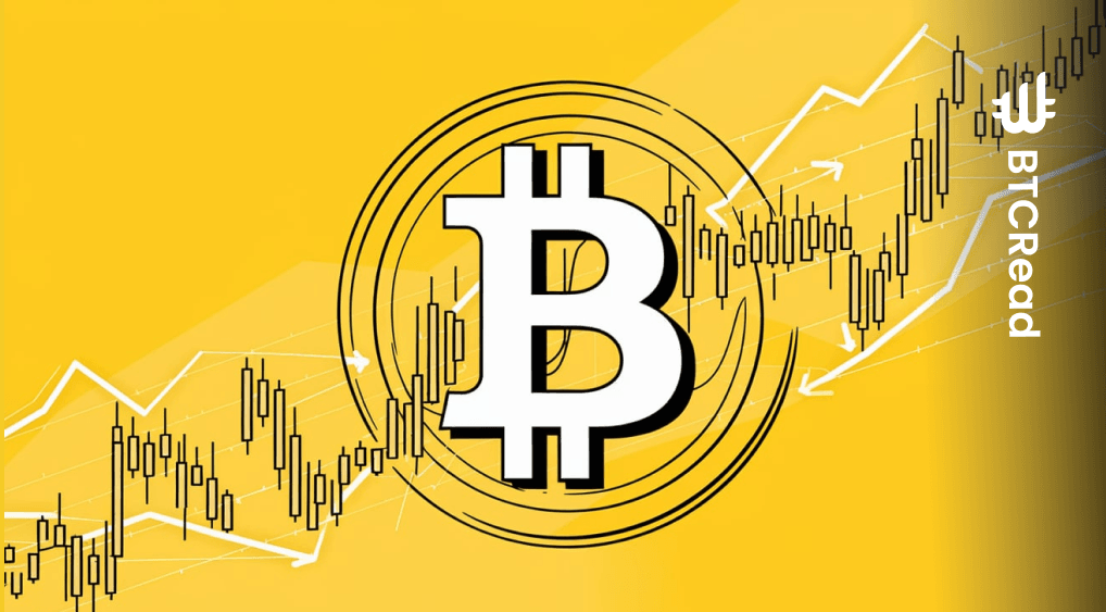 Bitcoin price history A rollercoaster ride