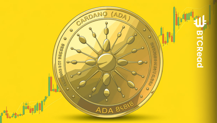 Cardano