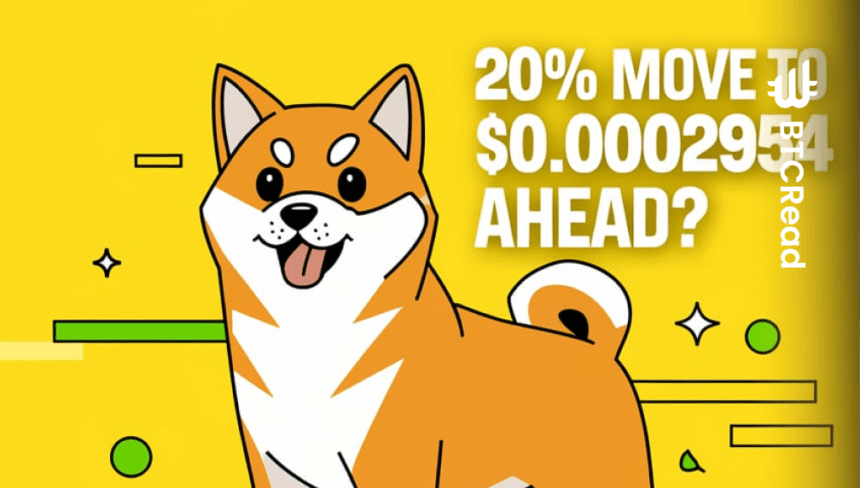 Shiba Inu