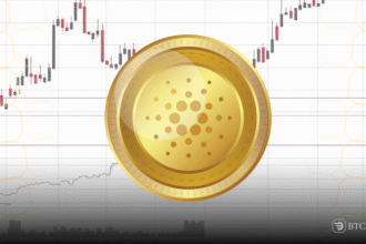 Cardano
