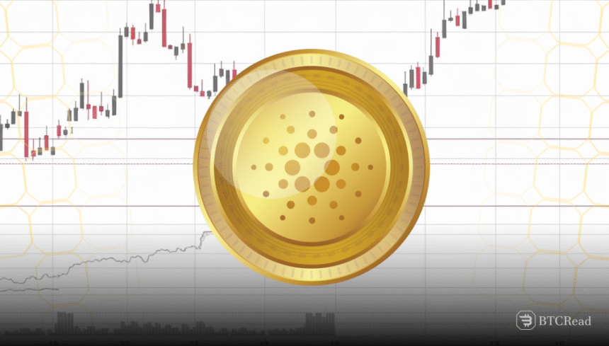 Cardano