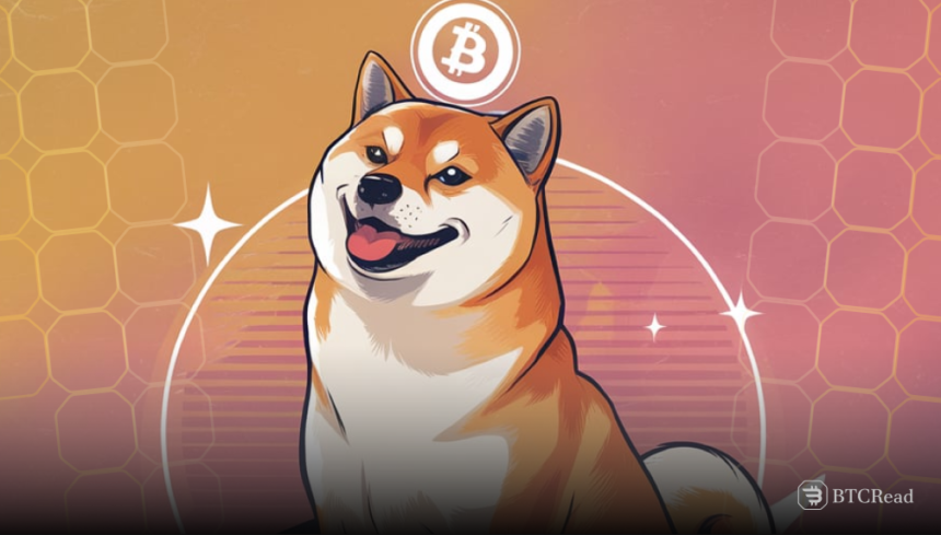 Dogecoin