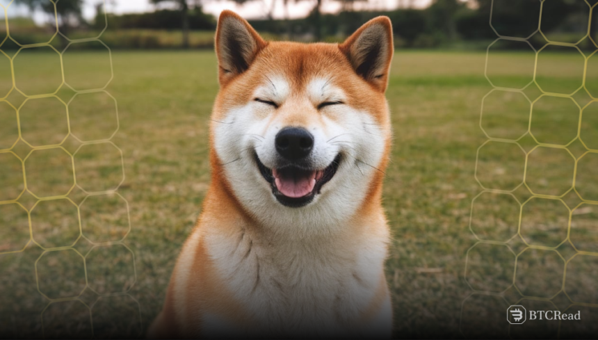Shiba Inu