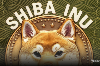 Shiba Inu