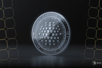Cardano