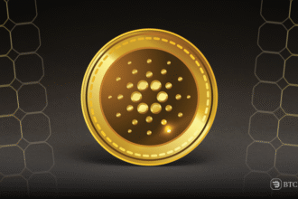 Cardano