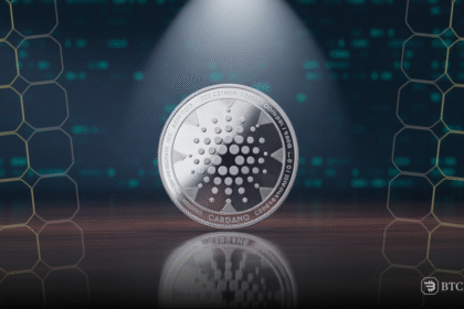 Cardano