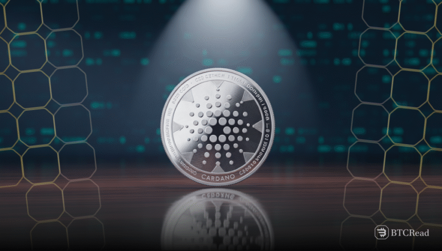 Cardano