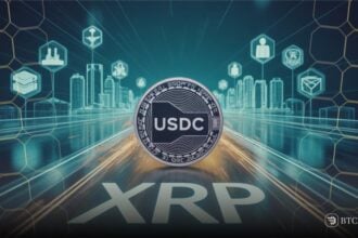 USDC