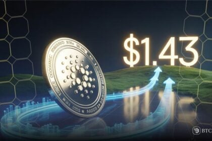 Cardano
