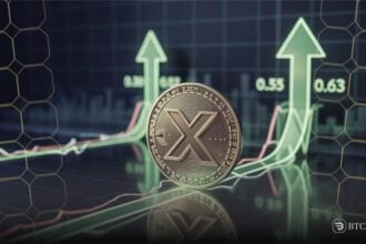 XLM