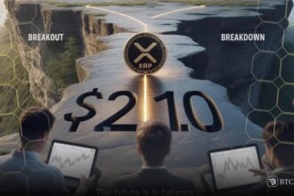 XRP