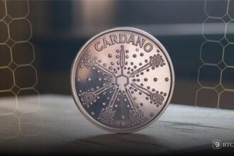 Cardano
