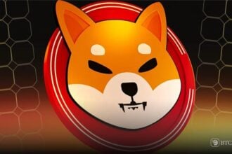 shiba Inu