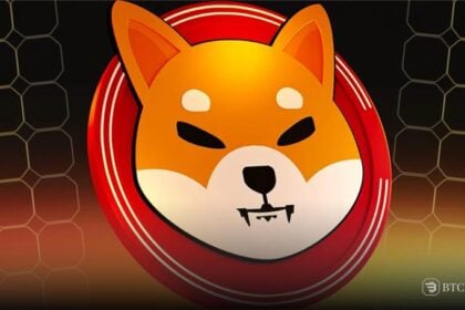 shiba Inu