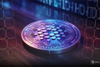 Cardano