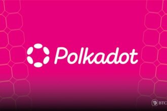 Polkadot