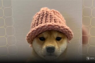 Dogwifhat