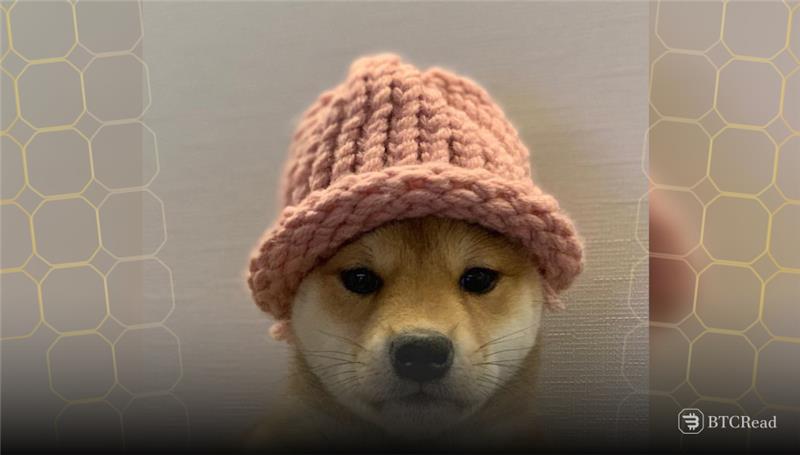 Dogwifhat