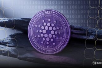Cardano