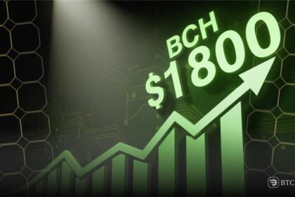 Bitcoin Cash