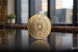 stablecoin