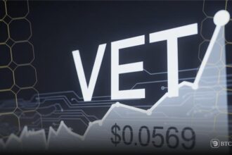 VeChain