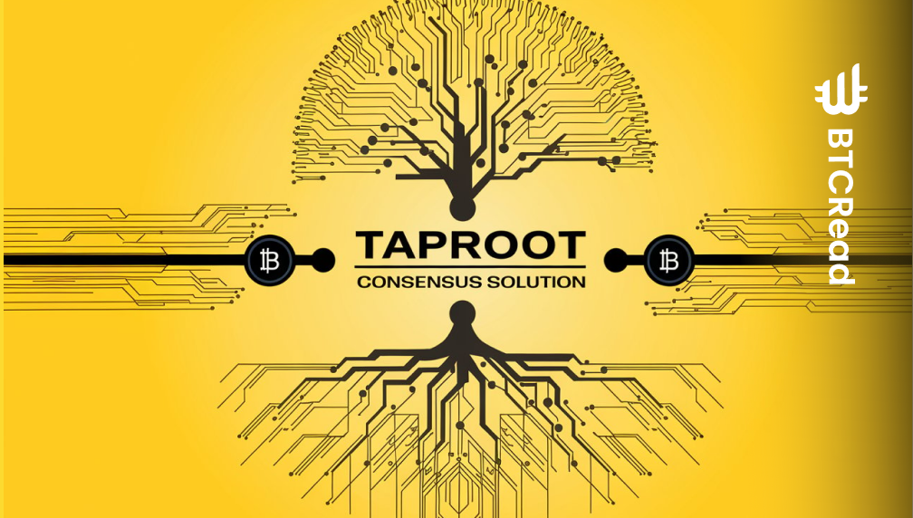 Overview of the Taproot Consensus Solution