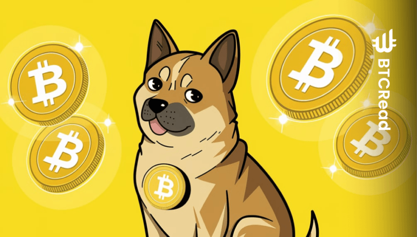 Dogecoin