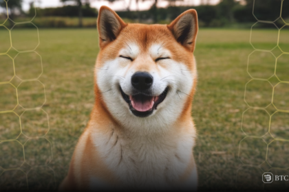 Shiba Inu