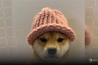 Dogwifhat