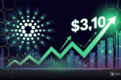 Cardano