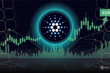 Cardano