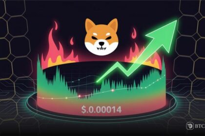 Shiba Inu