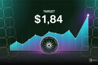 Cardano
