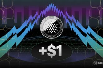 cardano