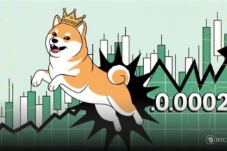 Shiba Inu
