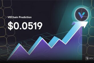 VeChain