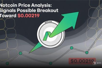Notcoin