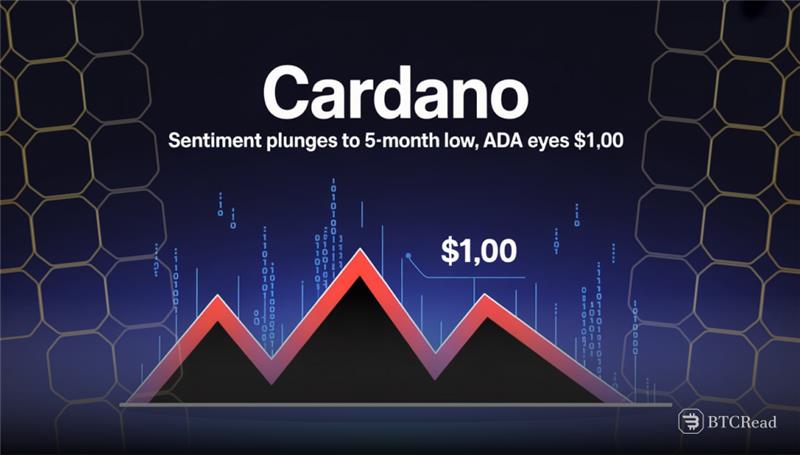 Cardano